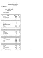 Báo cáo tài chính năm 2008 - Công ty TNHH Chứng khoán ACB