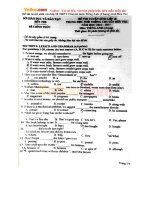 Đề thi tuyển sinh vào lớp 10 THPT Chuyên môn Tiếng Anh (Đề chung) năm học 2016-2017 tỉnh Bến Tre