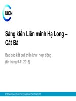 Sáng kiến Liên minh Hạ Long – Cát Bà Báo cáo kết quả triển khai hoạt động