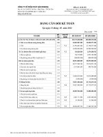 Báo cáo tài chính quý 1 năm 2012 - Công ty Cổ phần Thủy sản Mekong