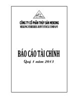 Báo cáo tài chính quý 1 năm 2013 - Công ty Cổ phần Thủy sản Mekong
