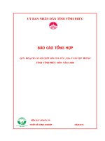 QUY HOẠCH CƠ SỞ GIẾT MỔ GIA SÚC, GIA CẦM TẬP TRUNG TỈNH VĨNH PHÚC ĐẾN NĂM 2020