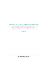 Báo cáo tài chính năm 2009 (đã kiểm toán) - Công ty Cổ phần Nhựa và Môi trường xanh An Phát