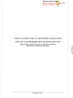 Báo cáo tài chính hợp nhất quý 2 năm 2013 (đã soát xét) - Công ty Cổ phần Nhựa và Môi trường xanh An Phát