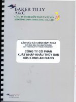 Báo cáo tài chính hợp nhất quý 2 năm 2011 (đã soát xét) - Công ty cổ phần Xuất nhập khẩu Thủy sản Cửu Long An Giang