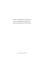 Báo cáo tài chính năm 2013 (đã kiểm toán) - Công ty Cổ phần Bê tông ly tâm An Giang