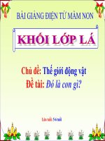 Bài giảng điện tử mầm non lớp Lá đề tài Thế giới động vật  Đó là con gì?