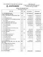 Báo cáo tài chính quý 1 năm 2013 - Công ty Cổ phần Xuất nhập khẩu Thủy sản Bến Tre