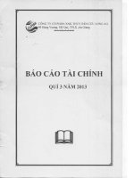 Báo cáo tài chính quý 3 năm 2013 - Công ty cổ phần Xuất nhập khẩu Thủy sản Cửu Long An Giang