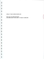 Báo cáo tài chính hợp nhất năm 2009 (đã kiểm toán) - Công ty TNHH Chứng khoán ACB