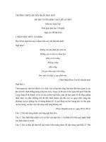 Đề thi tuyển sinh vào lớp 10 môn Ngữ văn trường THPT Chuyên Quốc Học Huế năm 2016 - 2017