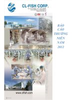 Báo cáo thường niên năm 2012 - Công ty cổ phần Xuất nhập khẩu Thủy sản Cửu Long An Giang