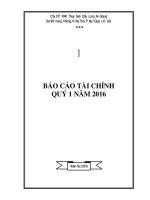 Báo cáo tài chính công ty mẹ quý 1 năm 2016 - Công ty cổ phần Xuất nhập khẩu Thủy sản Cửu Long An Giang