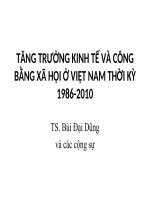 TĂNG TRƯỞNG KINH TẾ VÀ CÔNG BẰNG XÃ HỘI Ở VIỆT NAM THỜI KỲ 1986-2010