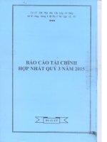 Báo cáo tài chính hợp nhất quý 3 năm 2015 - Công ty cổ phần Xuất nhập khẩu Thủy sản Cửu Long An Giang