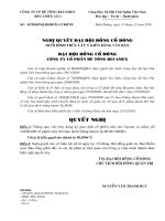 Nghị quyết đại hội cổ đông ngày 06-01-2011 - Công ty cổ phần Bê tông Becamex