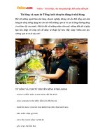 Từ lóng và cụm từ Tiếng Anh chuyên dùng ở nhà hàng