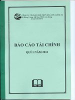 Báo cáo tài chính công ty mẹ quý 1 năm 2011 - Công ty cổ phần Xuất nhập khẩu Thủy sản Cửu Long An Giang