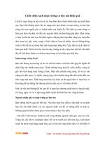 Cách trị mụn trứng cá bọc hiệu quả tại nhà