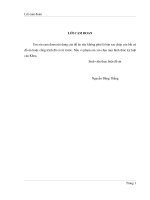 ẢNH HƯỞNG CỦA KỸ THUẬT PHÂN TẬP TỚI HIỆU NĂNG BẢO MẬT CỦA HỆ THỐNG VÔ TUYẾN