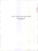 Báo cáo tài chính quý 2 năm 2015 - Công ty cổ phần Chứng khoán An Bình