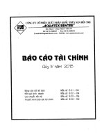 Báo cáo tài chính quý 4 năm 2013 - Công ty Cổ phần Xuất nhập khẩu Thủy sản Bến Tre