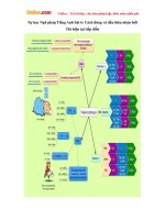 Tự học Ngữ pháp Tiếng Anh bài 6: Cách dùng và dấu hiệu nhận biết Thì hiện tại tiếp diễn