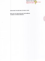 Báo cáo tài chính hợp nhất quý 3 năm 2013 - Ngân hàng Thương mại Cổ phần Á Châu