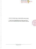 Báo cáo tài chính hợp nhất năm 2013 (đã kiểm toán) - Công ty Cổ phần Nhựa và Môi trường xanh An Phát