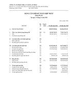 Báo cáo tài chính hợp nhất quý 4 năm 2010 - Công ty Cổ phần Nhựa và Môi trường xanh An Phát