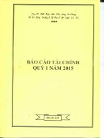 Báo cáo tài chính quý 1 năm 2015 - Công ty cổ phần Xuất nhập khẩu Thủy sản Cửu Long An Giang