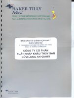 Báo cáo tài chính hợp nhất quý 2 năm 2015 (đã soát xét) - Công ty cổ phần Xuất nhập khẩu Thủy sản Cửu Long An Giang