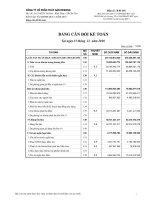 Báo cáo tài chính quý 4 năm 2010 - Công ty Cổ phần Thủy sản Mekong