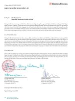 Báo cáo tài chính năm 2008 (đã kiểm toán) - Ngân hàng Thương mại cổ phần An Bình