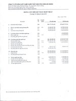 Báo cáo tài chính hợp nhất quý 4 năm 2011 - Công ty cổ phần Xuất nhập khẩu Thủy sản Cửu Long An Giang