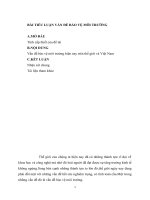 BÀI TIỂU LUẬN vấn đề BẢO vệ môi TRƯỜNG 2