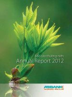 Báo cáo thường niên năm 2012 - Ngân hàng Thương mại cổ phần An Bình