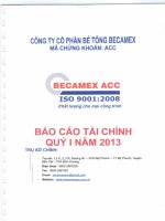 Báo cáo tài chính quý 1 năm 2013 - Công ty cổ phần Bê tông Becamex