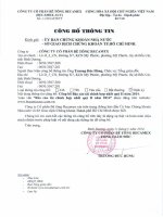 Báo cáo tài chính hợp nhất quý 2 năm 2014 - Công ty cổ phần Bê tông Becamex