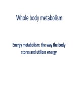 BAI GIANG CO CHE DIEU HOA CUA CO THE