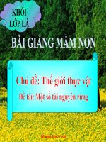 Bài giảng điện tử mầm non lớp Lá đề tài Một số tài nguyên rừng