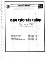 Báo cáo tài chính quý 1 năm 2010 - Công ty Cổ phần Xuất nhập khẩu Thủy sản Bến Tre
