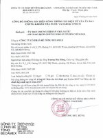 Báo cáo tài chính công ty mẹ quý 1 năm 2015 - Công ty cổ phần Bê tông Becamex
