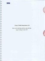 Báo cáo tài chính hợp nhất năm 2013 (đã kiểm toán) - Công ty TNHH Chứng khoán ACB