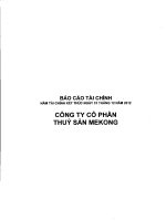 Báo cáo tài chính năm 2012 (đã kiểm toán) - Công ty Cổ phần Thủy sản Mekong