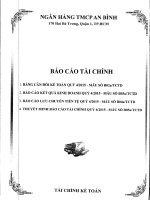Báo cáo tài chính công ty mẹ quý 4 năm 2015 - Ngân hàng Thương mại cổ phần An Bình