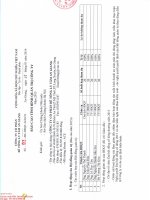 Báo cáo tình hình quản trị công ty - Công ty Cổ phần Bê tông ly tâm An Giang