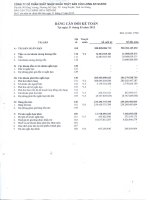 Báo cáo tài chính quý 1 năm 2012 - Công ty cổ phần Xuất nhập khẩu Thủy sản Cửu Long An Giang