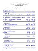 Báo cáo tài chính quý 1 năm 2008 - Ngân hàng Thương mại Cổ phần Á Châu