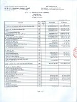 Báo cáo tài chính quý 4 năm 2012 - Công ty TNHH Chứng khoán ACB